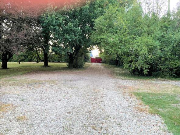 La Maison Tournesol - 3 Bedroom House With Large Garden Near Saumur Saint-Martin-de-la-Place Kültér fotó