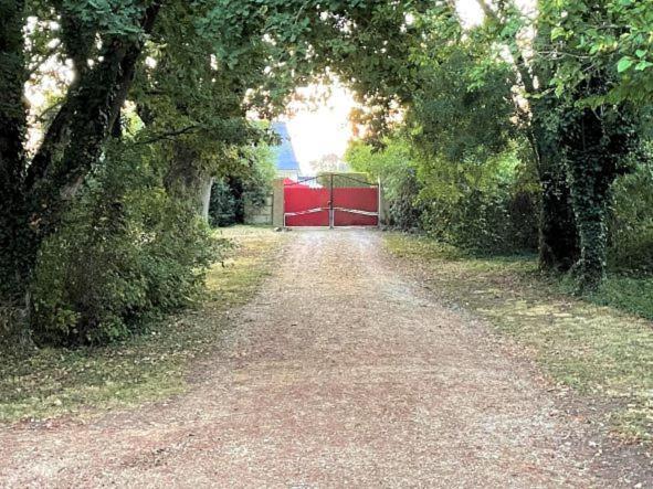 La Maison Tournesol - 3 Bedroom House With Large Garden Near Saumur Saint-Martin-de-la-Place Kültér fotó